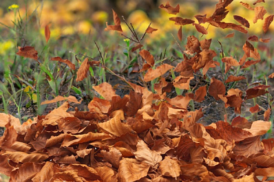 Шторм надвигается на Самарскую область