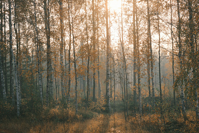 Народные приметы на 27 августа 2025 года: что нельзя делать в этот день