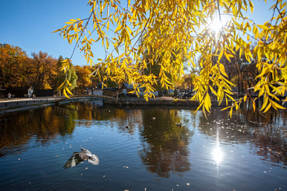 Название статьи