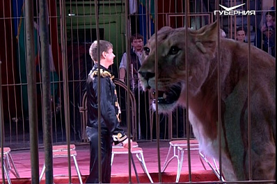 Уникальное шоу с 200-килограммовыми кошками представили в Самарском цирке