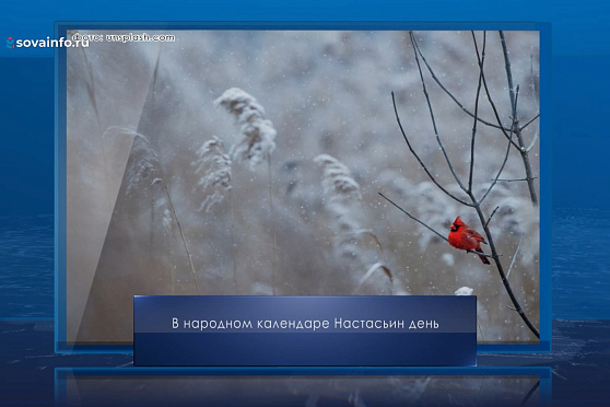Настасьин день. Календарь Губернии от 4 января