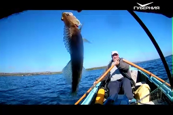 Рыбацкое счастье 10.10.2017. Рыбалка под Октябрьском