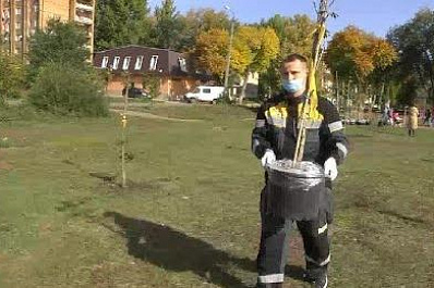 Нефтяники посадили деревья в Куйбышевском районе