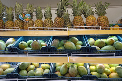 Минус 100 калорий за обед?: эксперт рассказал, существуют ли продукты с отрицательной пищевой ценностью