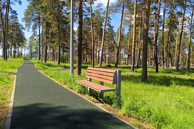 В Тольятти предлагают в городском лесу создать лесопарки