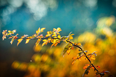В Самарской области 28 сентября будет солнечно и прохладно