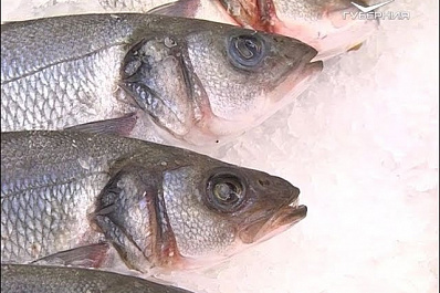 Проверку мяса и рыбы в магазинах Самары провел Россельхознадзор