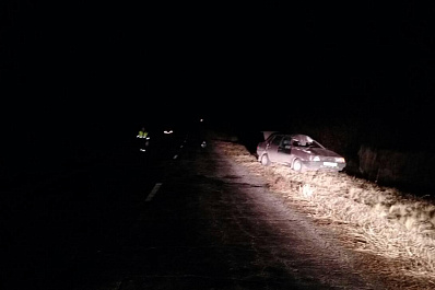 Автомобилист насмерть сбил лошадь на трассе в Самарской области