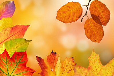 В Самарской области с 23 по 25 сентября ожидаются осадки и до + 17 градусов тепла