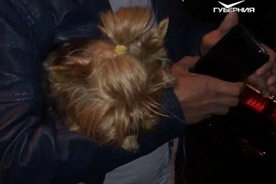 Пьяный водитель колесил по дорогам Самары с собакой