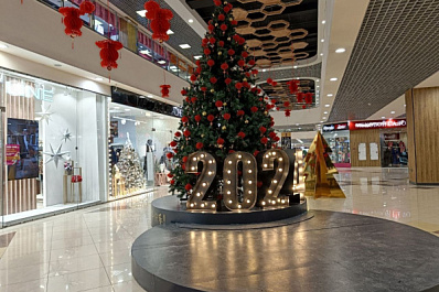 Самарский психолог рассказал, как не откладывать жизнь до Нового года