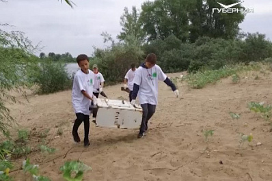 На острове Поджабный прошла генеральная экологическая уборка  