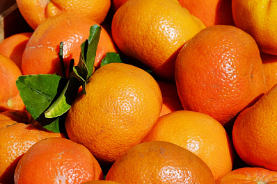 Самарская таможня задержала 40 тонн нелегальных мандаринов