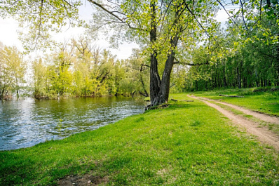 В Отрадном прошла экологическая акция по очистке берегов водоема