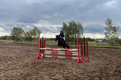 Барьеры взяты: в Красном Яре прошли областные соревнования по конному спорту 