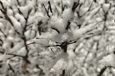 В Самарской области 15 декабря ожидается метель и мороз 