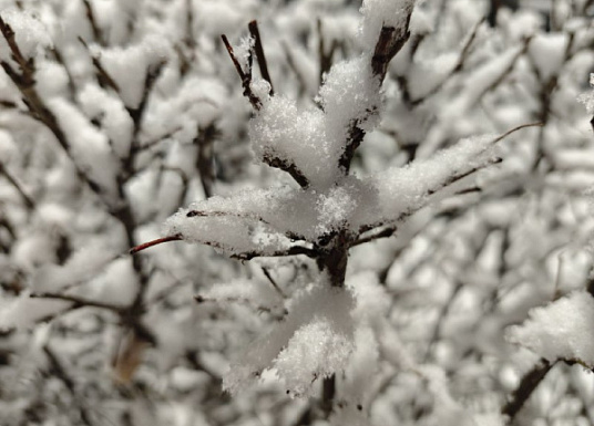 Название статьи