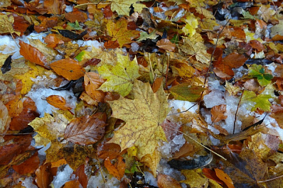 В Самарской области ожидается гололед и мокрый снег