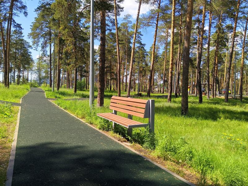 В Тольятти предлагают в городском лесу создать лесопарки