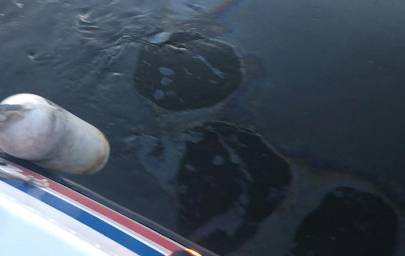 На Оке обнаружили нефтяные пятна