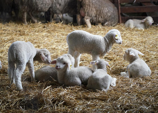 Название статьи