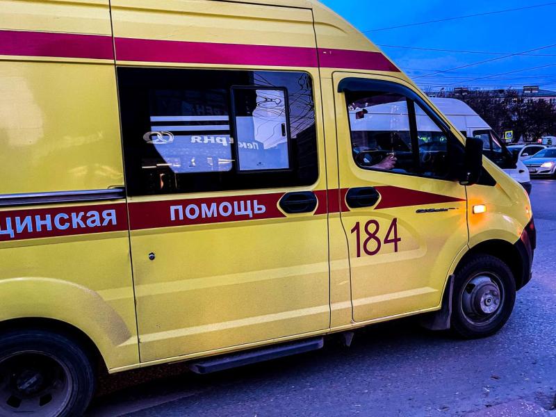 На 4-летнего ребенка напали сразу две гадюки