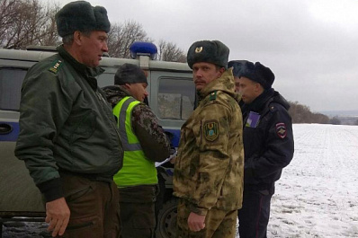 В Самарской области поймали охотников, незаконно убивших 6 косуль