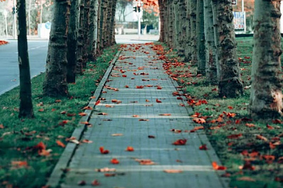 Новая парковая зона появилась в Ставропольском районе