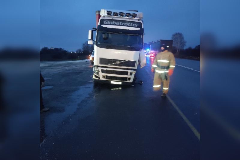 На М5 в Самарской области водитель иномарки выехал на встречку и врезался в грузовик