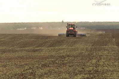 Почти 4 тыс. гектаров забытой земли в Борском районе вновь начнут давать урожай