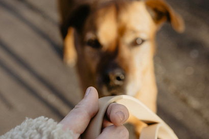 Название статьи