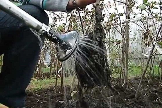 Азбука потребителя 02.10.2012