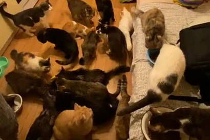 Название статьи