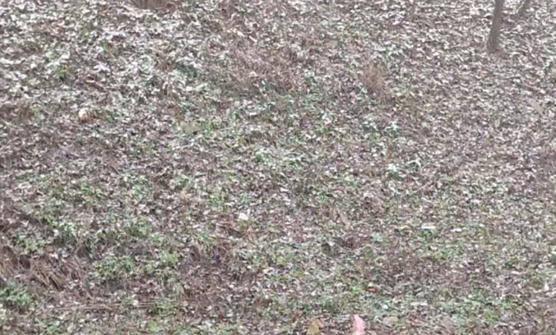 Самару 6 декабря накрыл мелкий и продолжительный снег