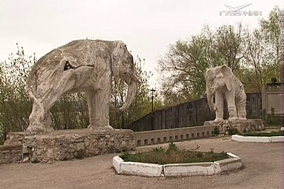 В Самаре презентовали предварительную концепцию развития дачи со слонами