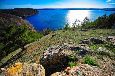 В Жигулевском заповеднике обнаружили ложноскорпионов