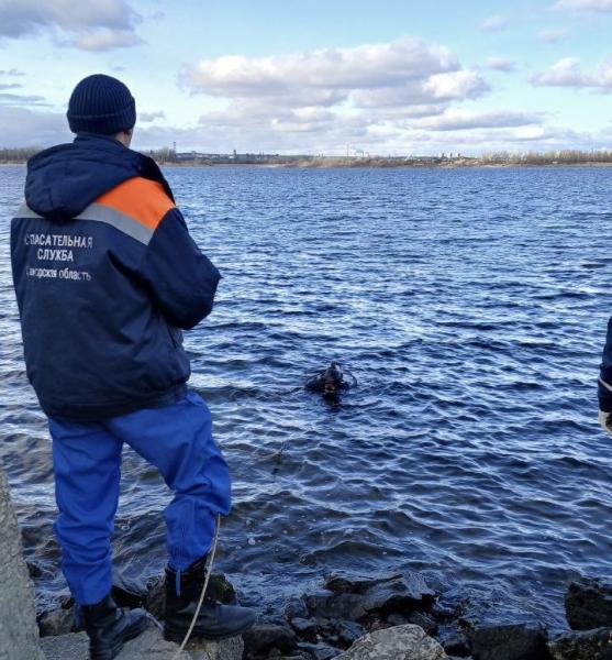В Самарской области 3 ноября в Волге нашли утонувшего дайвера