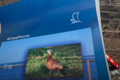 Виртуальная экскурсия по региону: стенд Самарской области - один из самых технологичных на выставке "Россия"