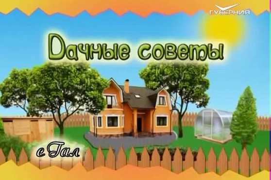 Дачные советы 23.06.2016