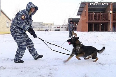В областной кинологической службе состоялось голосование по проекту Великие имена России