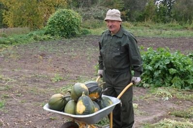 Не дадут заболеть: на какие продукты стоит обратить внимание осенью