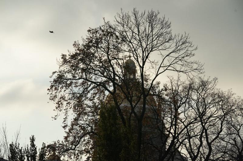 В Самаре ожидаются неблагоприятные метеоусловия 22-24 ноября