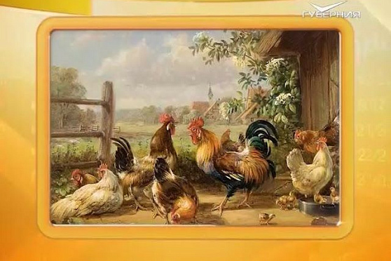 Календарь губернии 01.11.2016