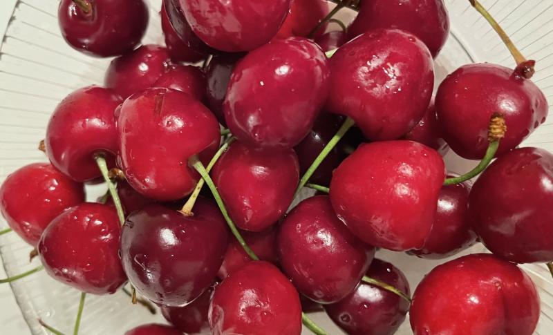 Врач рассказала, сколько можно есть фруктов и ягод в день