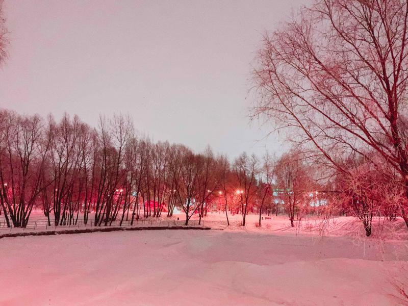 В Самарской области 12 января будет облачно и немного снежно