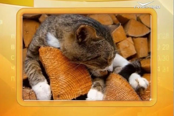 Календарь губернии 22.10.2016