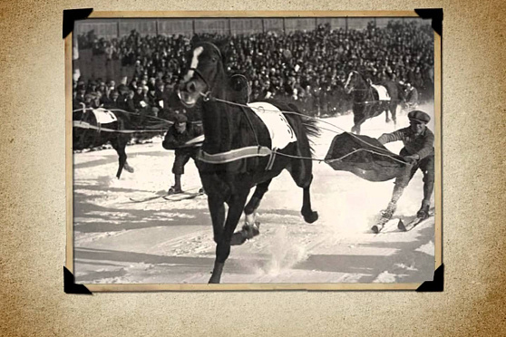 Календарь Губернии 15.01.2013