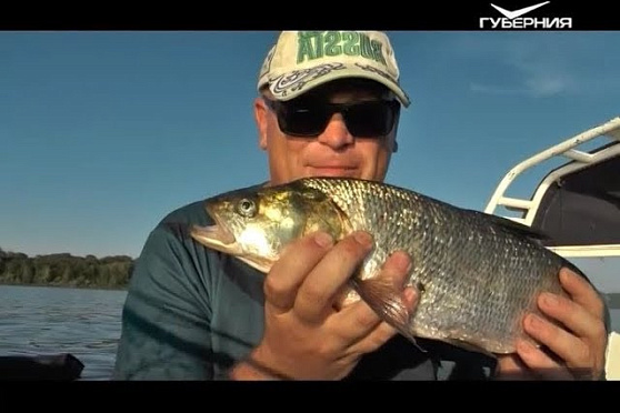 Рыбацкое счастье 08.08.2017. Ловля жереха