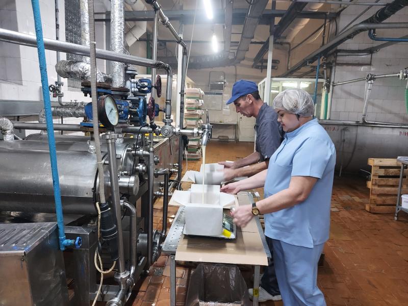 Как делают "молочку" в Красном Яре: репортаж с завода, который перерабатывает до 50 тонн сырья в сутки