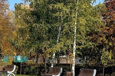 В Тольятти обновили два парка и десятки дворов в 2023 году 